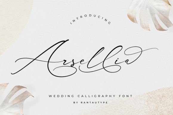 Arsellia: Elevating Your Visual Design Projects