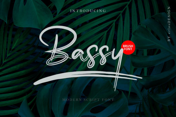 Bassy: Elevate Your Brand with a Delicate Script Font
