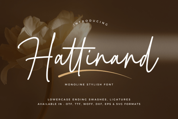 Hattinand: Elevating Your Design with Elegant Script Typography