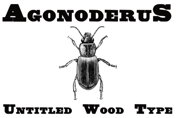 Untitled Wood Type: A Timeless Serif for Historic Design